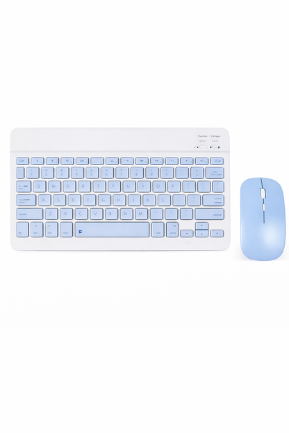 SET DE TECLADO Y MOUSE (50 UND X CAJA)